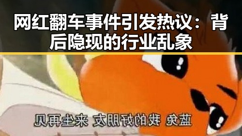 网红翻车事件引发热议：背后隐现的行业乱象