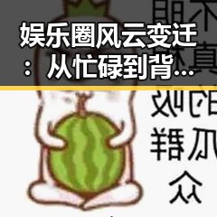 娱乐圈风云变迁:从忙碌到背后故事的全景回顾