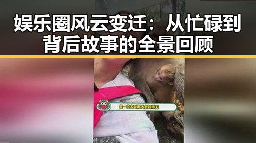 娱乐圈风云变迁:从忙碌到背后故事的全景回顾